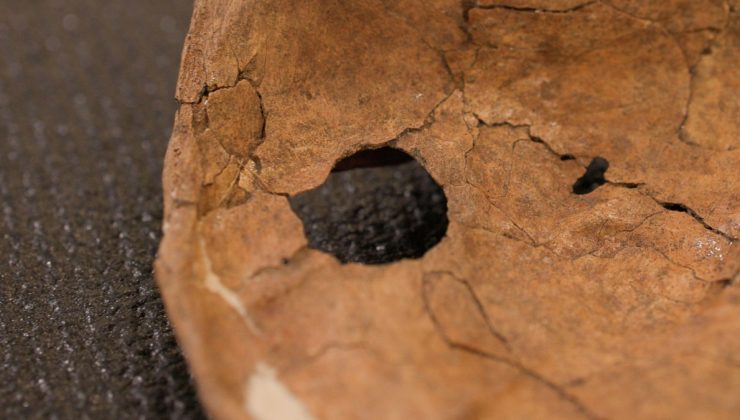 Kuzey Irak’ta 75 bin yıllık Neandertal yarası en eski şiddet kanıtı olabilir