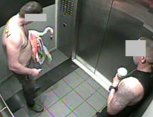 Las Vegas’ta otelden flamingo çalan Kanadalı turist suçlu bulundu: 30-40 bira içmiş