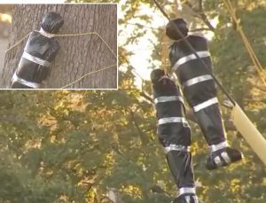 Mahalleyi ayağa kaldıran görüntü! Bahçesine astıkları yetkilileri harekete geçirdi