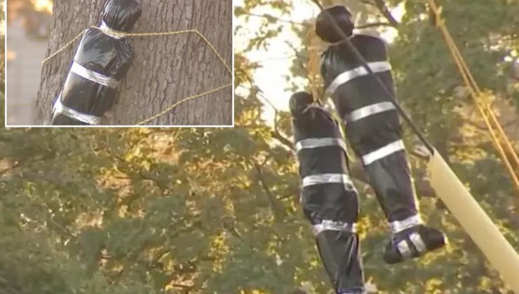 Mahalleyi ayağa kaldıran görüntü! Bahçesine astıkları yetkilileri harekete geçirdi