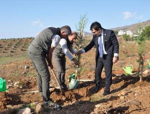 Mersin’de şehit savcı Kiraz’ın adının yaşatıldığı hatıra ormanına 1000 fidan dikildi