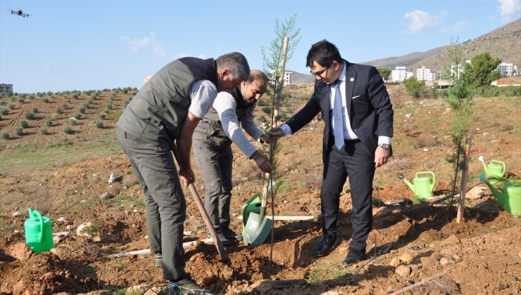 Mersin’de şehit savcı Kiraz’ın adının yaşatıldığı hatıra ormanına 1000 fidan dikildi