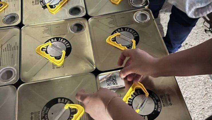 Muğla çam balında taklit ürünlerle mücadele için ilk numuneler alındı