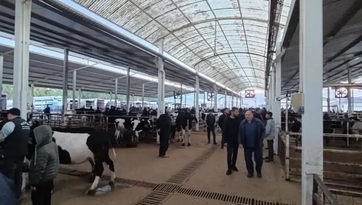 Nazilli’de canlı hayvan pazarında küpesiz ve belgesiz hayvan girişine izin verilmedi