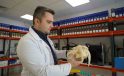 OMÜ Veteriner Fakültesi’nde anatomik modeller üç boyutlu baskıyla üretiliyor
