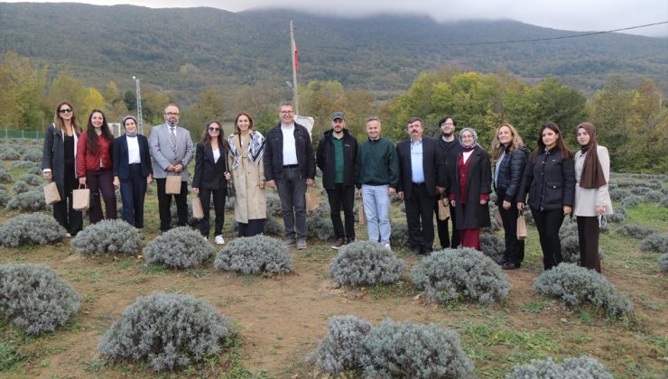 Samsun Kavak’ta GastroSAMSUN toplantısında gastronomi rotası görüşüldü