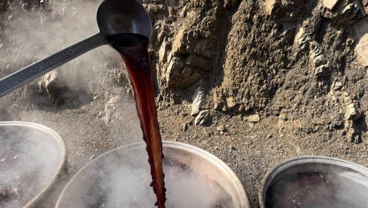 Şırnak Uludere’de Nizam Kara, katnefis pekmezi üretimini 10 yıldır sürdürüyor