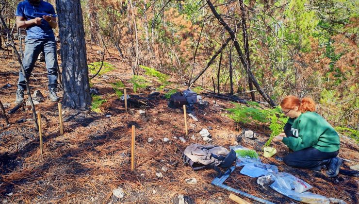 TÜBİTAK, KBÜ’nün Endonezya ortaklı 36 aylık orman projesini destekleyecek