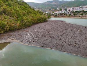Tunceli’de Munzur ve Pülümür’ün taşıdığı atıklar Uzunçayır Baraj Gölü’nde birikti