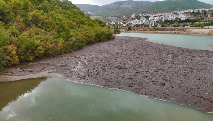 Tunceli’de Munzur ve Pülümür’ün taşıdığı atıklar Uzunçayır Baraj Gölü’nde birikti