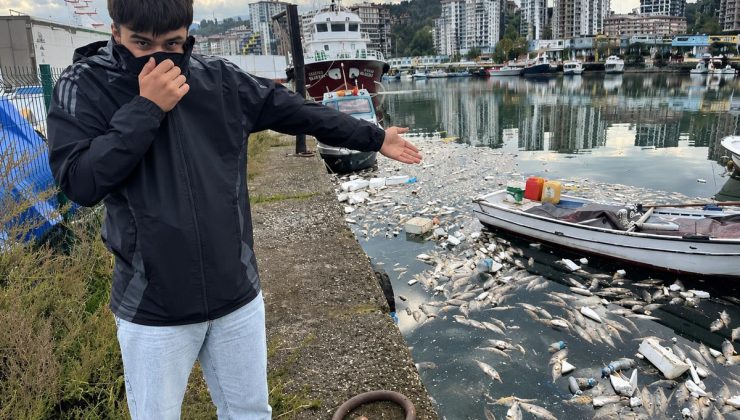 Ucuz palamut tartışmaları sürerken gelen görüntü isyan ettirdi