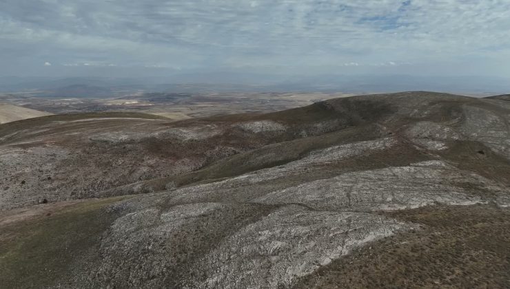 Yozgat Çayıralan’da 60-70 yılkı atı jandarma devriyeleriyle korunuyor