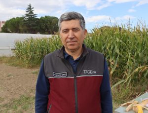 Zeytin pirinasından gübre Kırklareli ve Edirne’de buğday ve mısırda test ediliyor