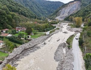 Zonguldak’ta sağanak sonrası heyelan iki köpeğin ölümüne neden oldu